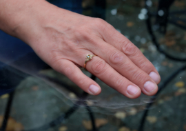 Medusa ring met blauwe diamant