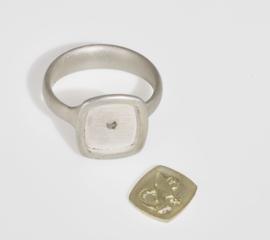 Zilveren ring met geelgouden draak