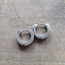 Roestvrijstalen Creolen 13 mm Zilver  [8466]