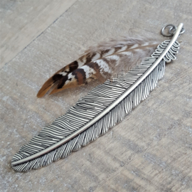 Large Feather  [2849]