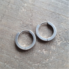 Roestvrijstalen Creolen 16 mm Zilver  [8430]