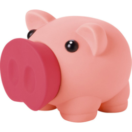 Spaarpot Varken PiggyBank (groen en roze)