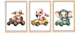 Race Animal