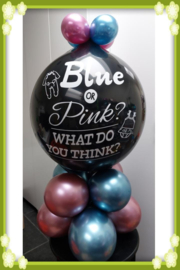 BALLON GENDERREVEAL v.a. €20