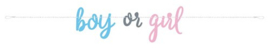 GENDER REVEAL Letterslinger ’boy or girl’ (213cm)