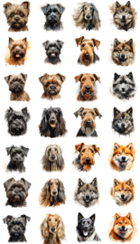 VOORBEELD DIEREN