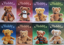 Notitieboekje Teddy