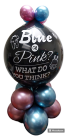 BALLON GENDERREVEAL v.a. €20