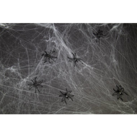 Spinnenweb met 6 zwarte spinnen - 500 gram