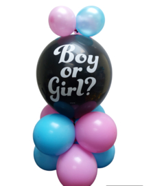 BALLON GENDERREVEAL v.a. €20