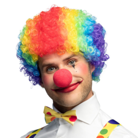 Pruik Clown Curly veelkleurig