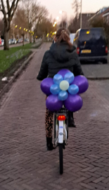 BALLONBLOEM v.a. €9