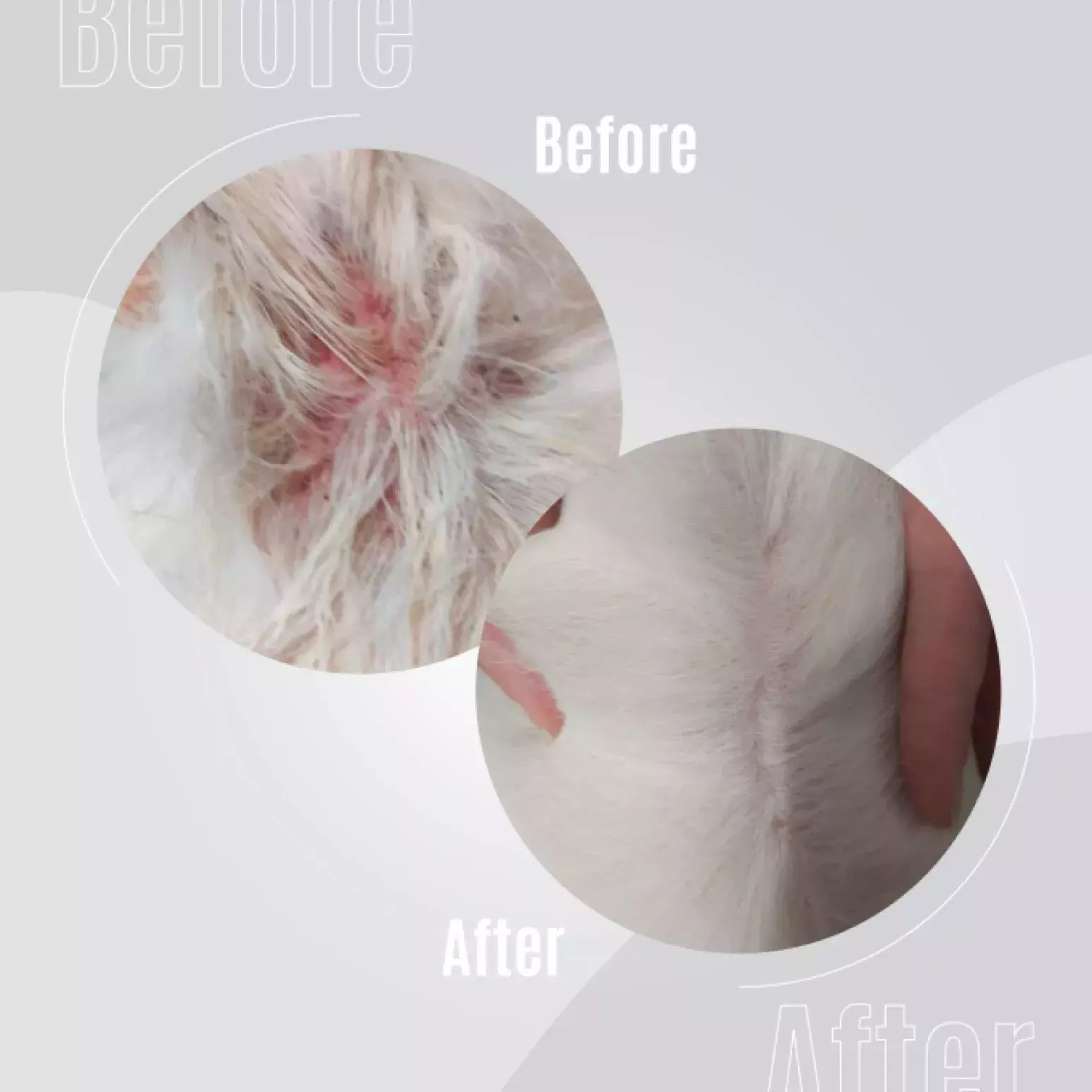 - TAURO Pro Line - Pure Nature - Elixer Nr. 3 - Kalmerend -