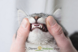 - Bio Technic - Mondspray Deo Buccal - Anti-Tandsteen -