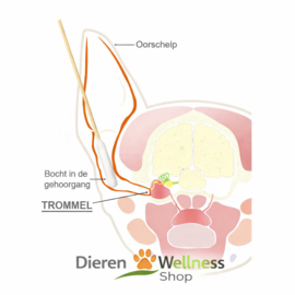 - Oorstokjes Hond/Kat  - 2 maten - 50 stuks -
