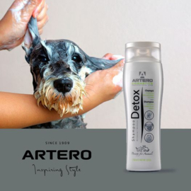 - Artero Shampoo - Detox -