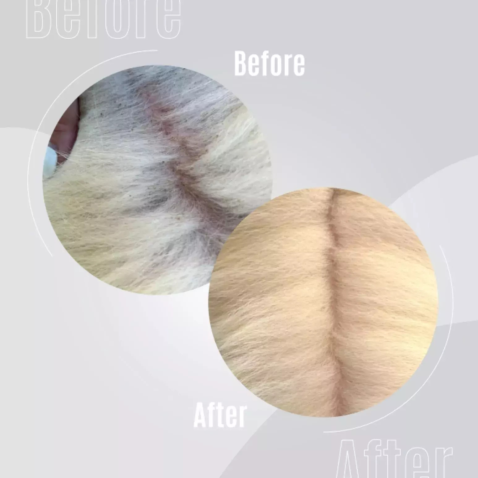 - TAURO Pro Line - Pure Nature - Elixer Nr. 1 - Voedend -