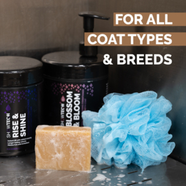 - Show Tech + Bubble Bliss - Shampoo Bar -