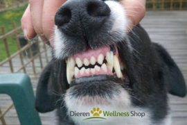 - Bio Technic - Mondspray Deo Buccal - Anti-Tandsteen -