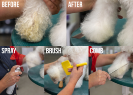 - Show Tech+ Quick Clean -