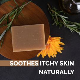 - Show Tech + Bubble Bliss - Shampoo Bar -