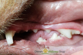 - Bio Technic - Mondspray Deo Buccal - Anti-Tandsteen -