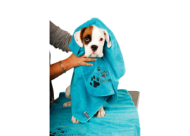 - Showtech -  Microfibre Handdoek - 3 Kleuren -