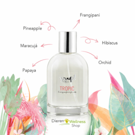 - YUUP ! - Tropic -