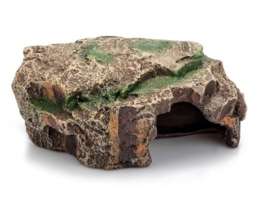 Giganterra Grot Forest  small 16 x 10 x 7cm ( G04-00268 )