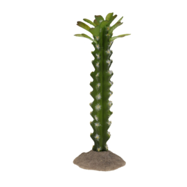 Cactus cilinder 3 groen 10x8,5x23,5cm