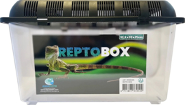 Reptobox 32,5 x 22 x 21 cm