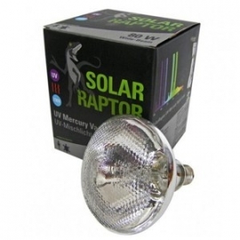 Solar Raptor 100 Watt Kwikdamplamp ( geen starter nodig )