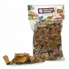 Back Zoo Nature Discovery Leaves for Reptiles ( ca  50 Gram )