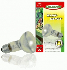 Sunspot 60 watt