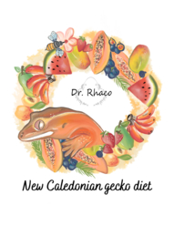 Dr. Rhaco Dieet voor uw gekko's ( 55 gram )