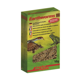 Lucky Reptile Earthworms 10 gram