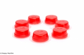 jelly-food aardbei 50 stuks