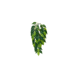 Exo Terra Ficus Silk Medium