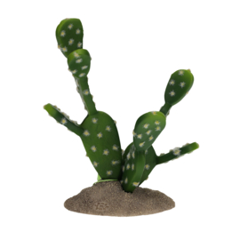 Vijgencactus groen 15,5x9x16,5cm