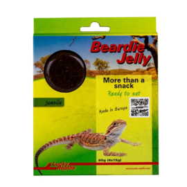 Lucky Reptile Beardie Juvenile Jelly