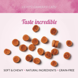 Cat Treats Steamed Garnalen 50 gr