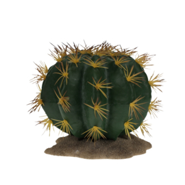 Echinocactus 1 groen 16,5x15,5x14cm