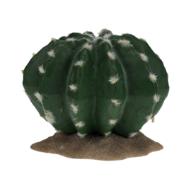 Echinocactus 2 groen  16,5x15,5x13cm