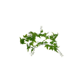 Lucky Reptile Ivy Vine