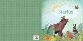 Geboortekaartje Marius | beer egel konijn jongen