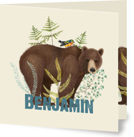 Geboortekaartje Benjamin, beer met vogeltje