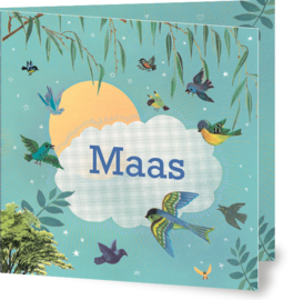Geboortekaartje Maas | vliegende vogels jongen