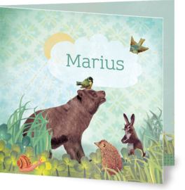 Geboortekaartje Marius | beer egel konijn jongen
