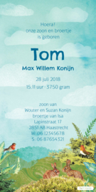 Geboortekaartje Tom | 2e kind giraffe jongen