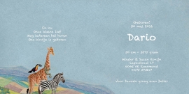 Geboortekaartje Dario | luchtballon met dieren jongen